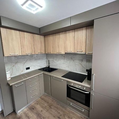 Sica Guesthouse Borşa 外观 照片