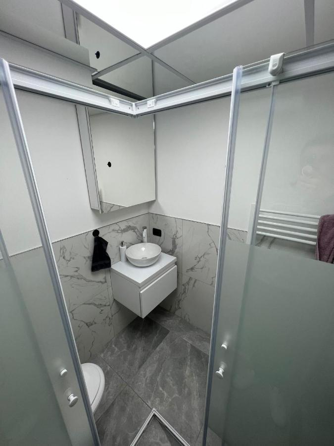Sica Guesthouse Borşa 外观 照片