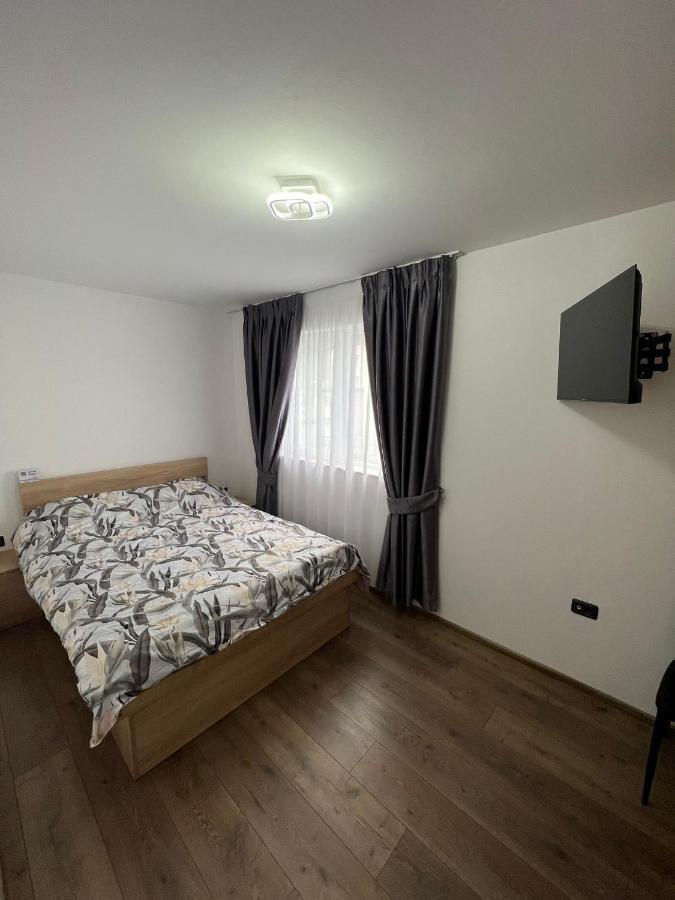 Sica Guesthouse Borşa 外观 照片